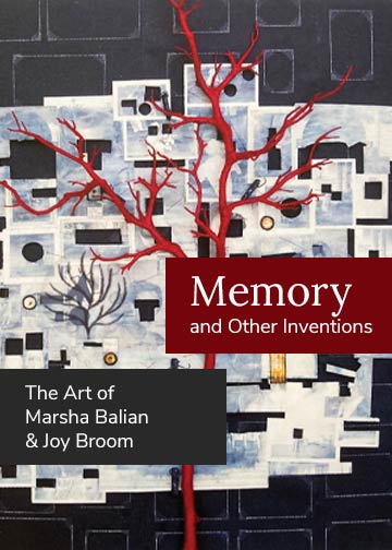 Memory and Other Inventions